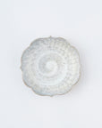 【Shuichi Okamoto】Mishima-Garatsu squared small plate