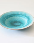 Turquoise 5sun plate