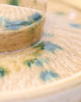 Shigaraki yaki rice pot