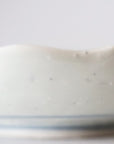 floral pattern Kata-uchi round flower-shaped plate