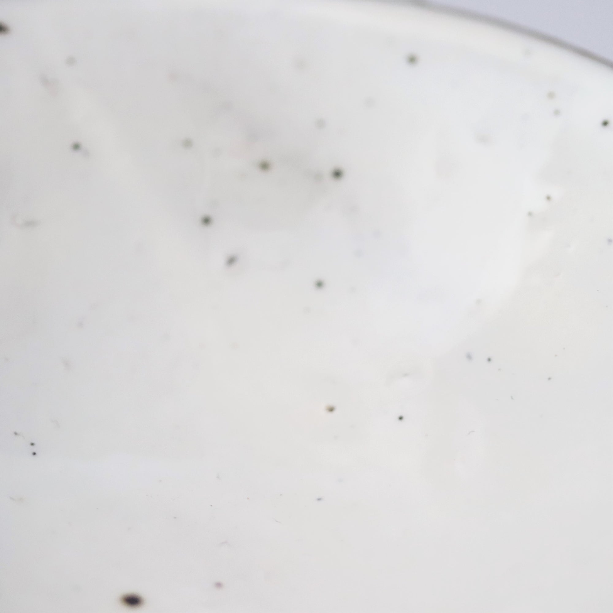 【铃木智寻】粉引和小碟子