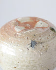 【Yosuke Kojima】Iga bowl