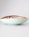 water plants and fish painted oval 5sun plate