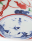 water plants and fish painted oval 5sun plate