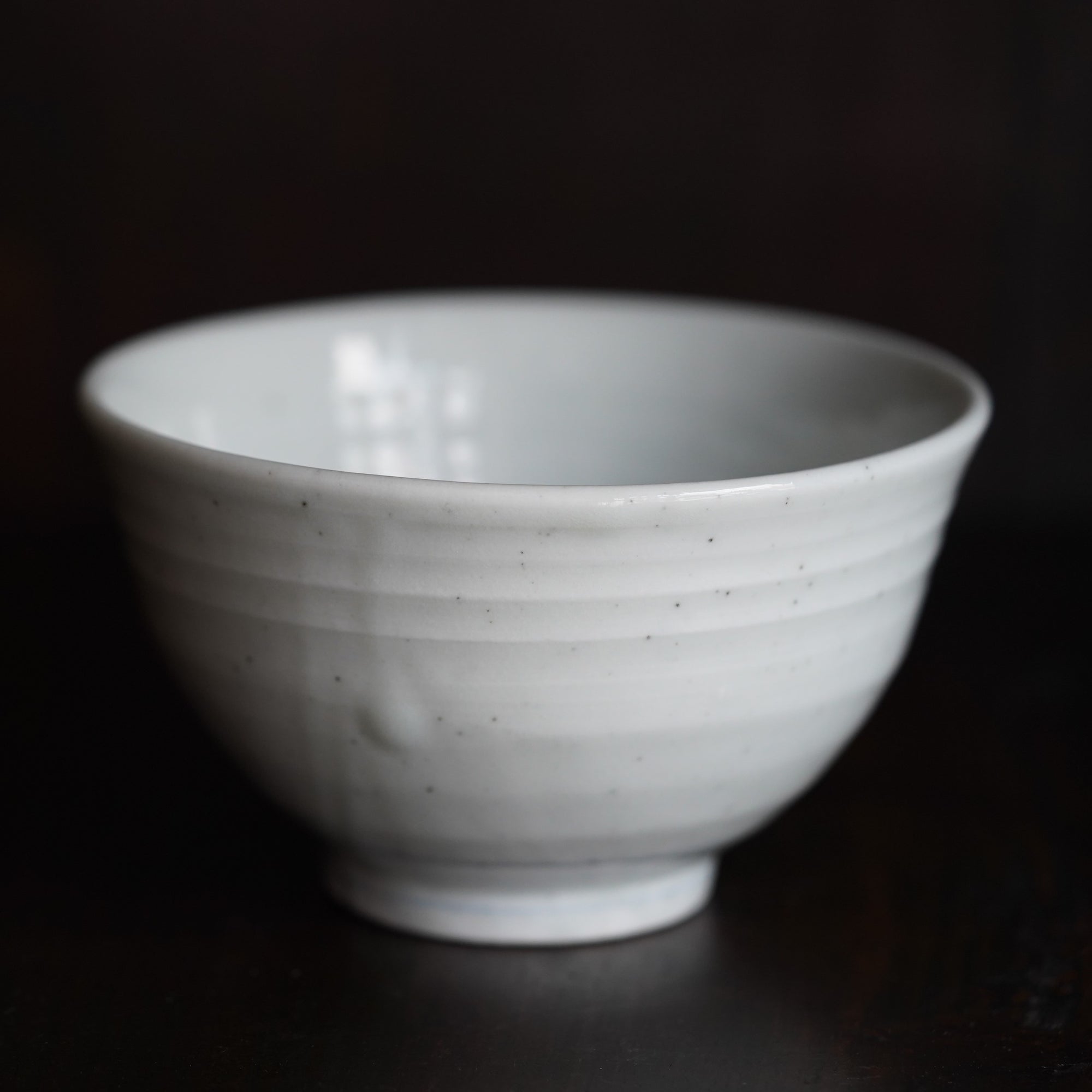 [Bunsho Kiln] Sometsuke rice bowl