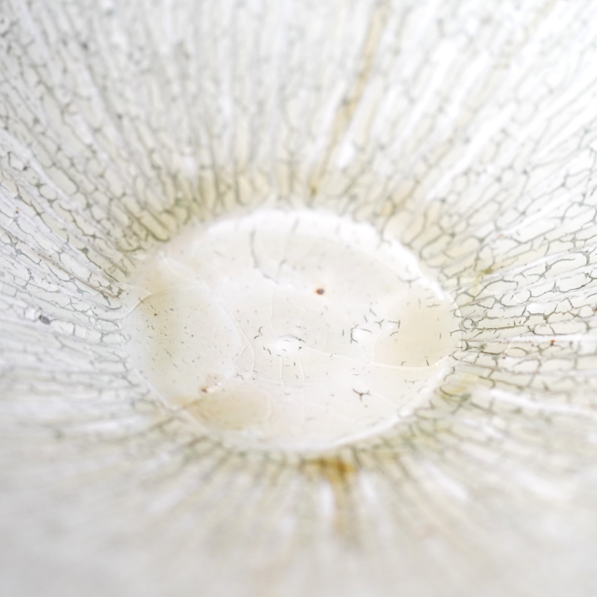 【Tomohiro Suzuki】Kohiki Shinogi 7sun shallow bowl