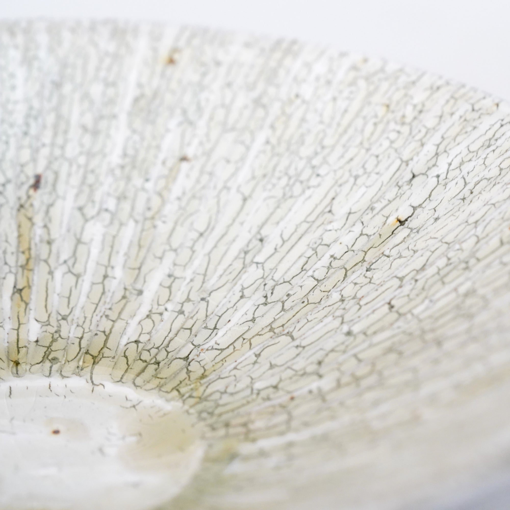 【Tomohiro Suzuki】Kohiki Shinogi 7sun shallow bowl