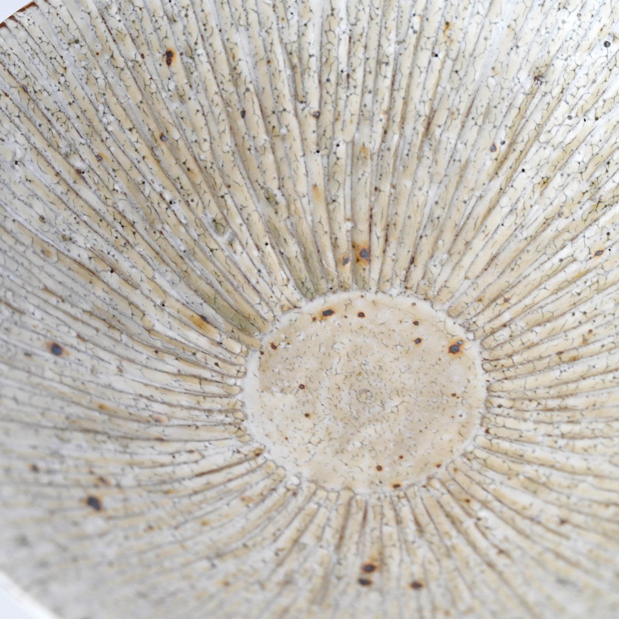 【Tomohiro Suzuki】Kohiki Shinogi 7sun shallow bowl