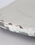 【Hiroyumi Suzuki】Shigaraki shell shaped small plate