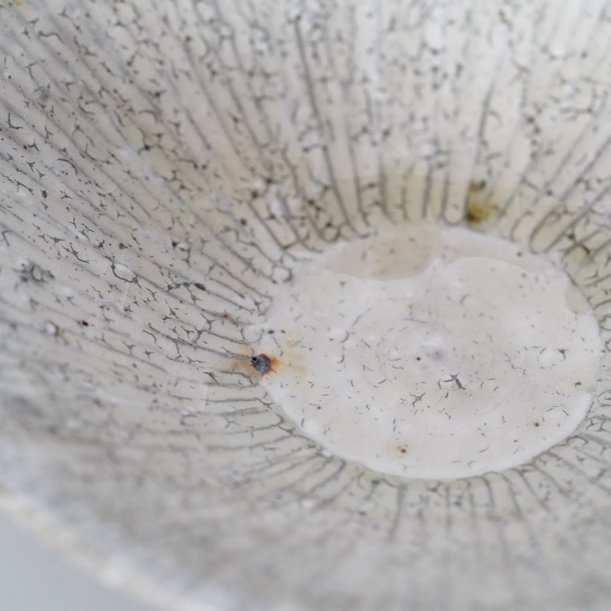 【Tomohiro Suzuki】Kohiki Shinogi 7sun shallow bowl