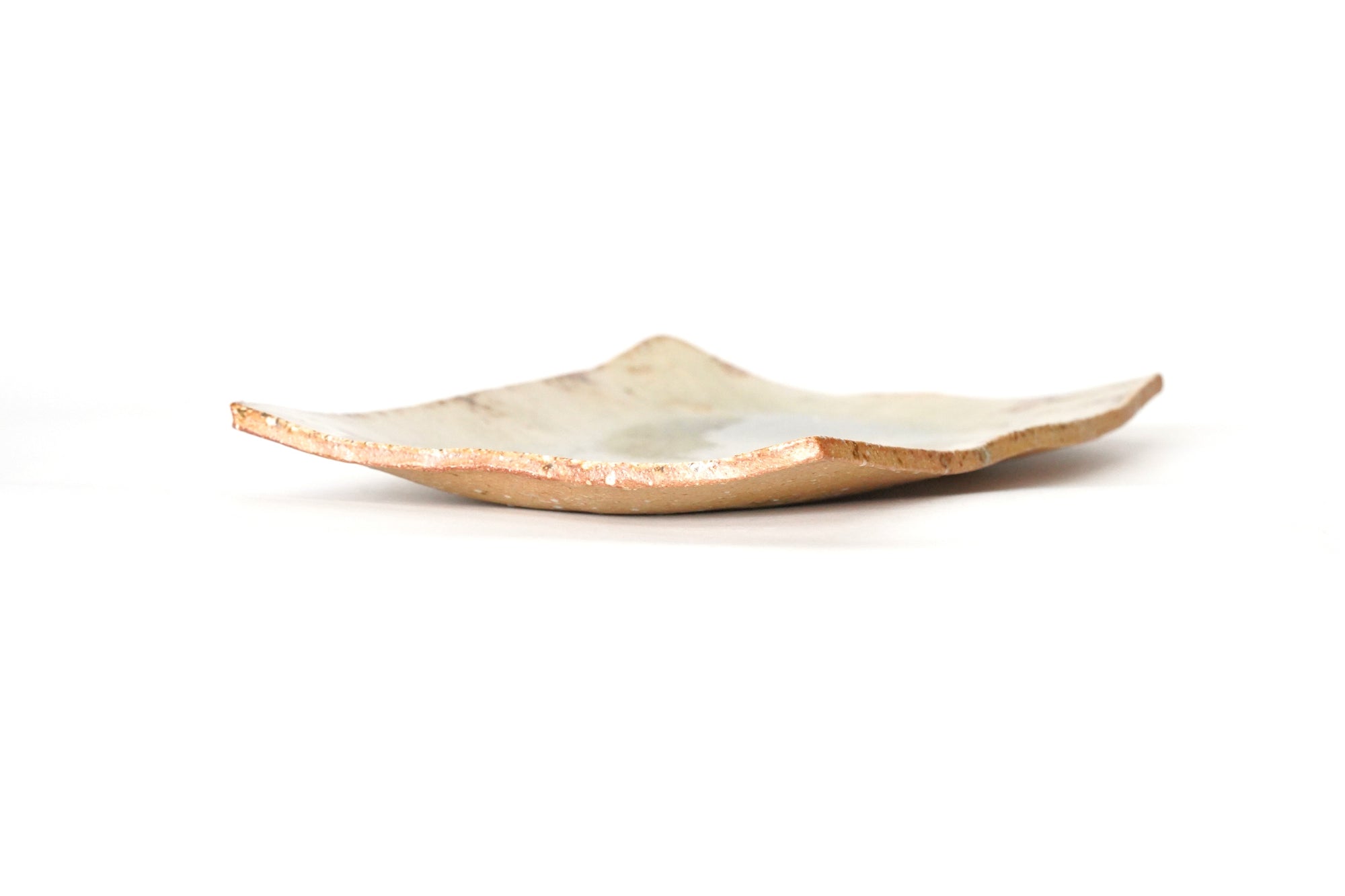 Shigaraki ash glaze long square plate