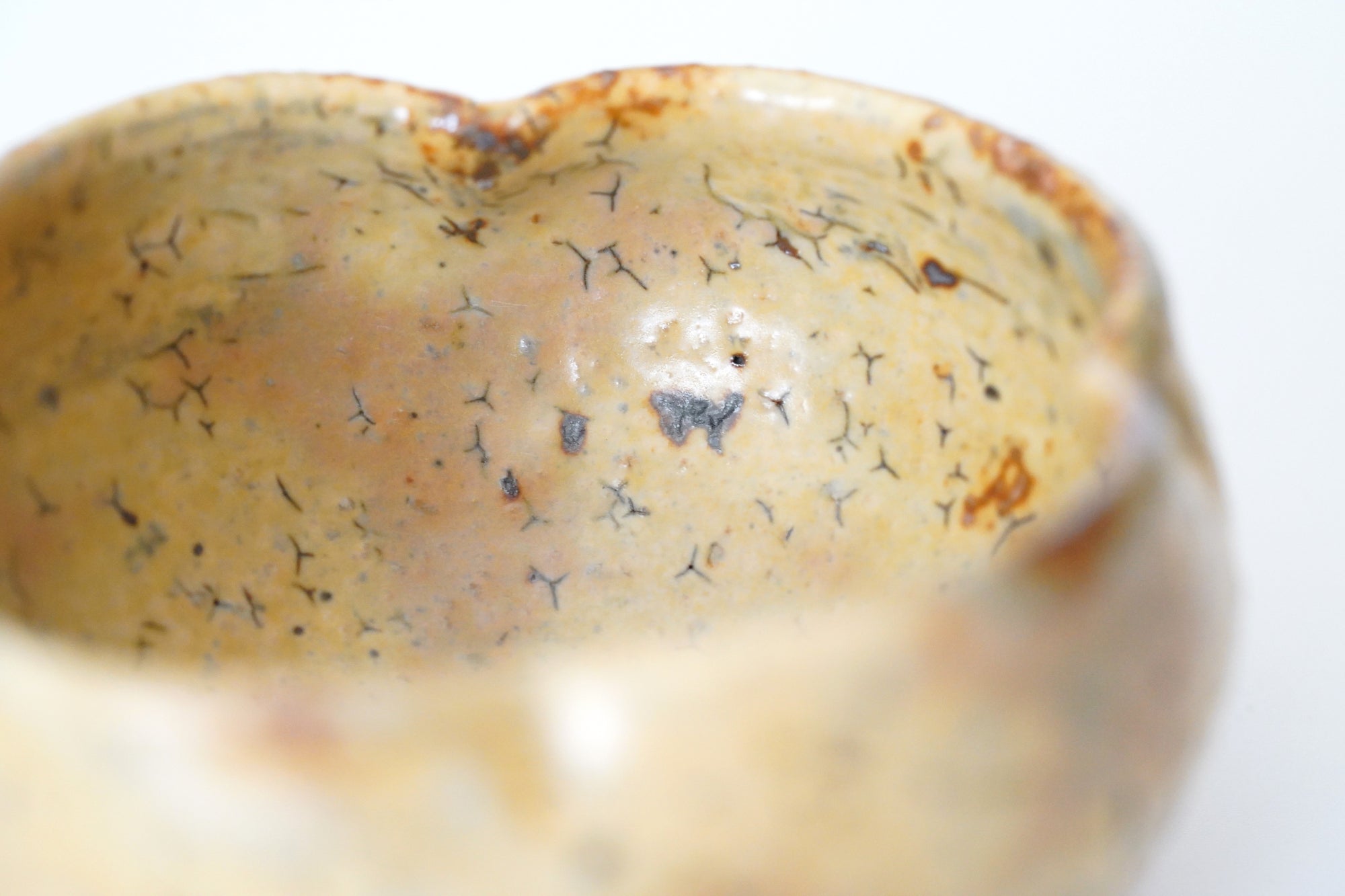 【Kazuhiko Kudo】White birch white Japanese quince mini bowl