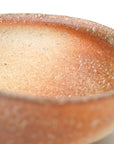 【Hiroyumi Suzuki】Shigaraki shell shaped small plate
