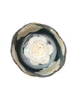 【永江俊昭】色絵椿文輪花向付