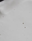 [Bunshogama] White porcelain shaped 5-inch plate with ridged flowers