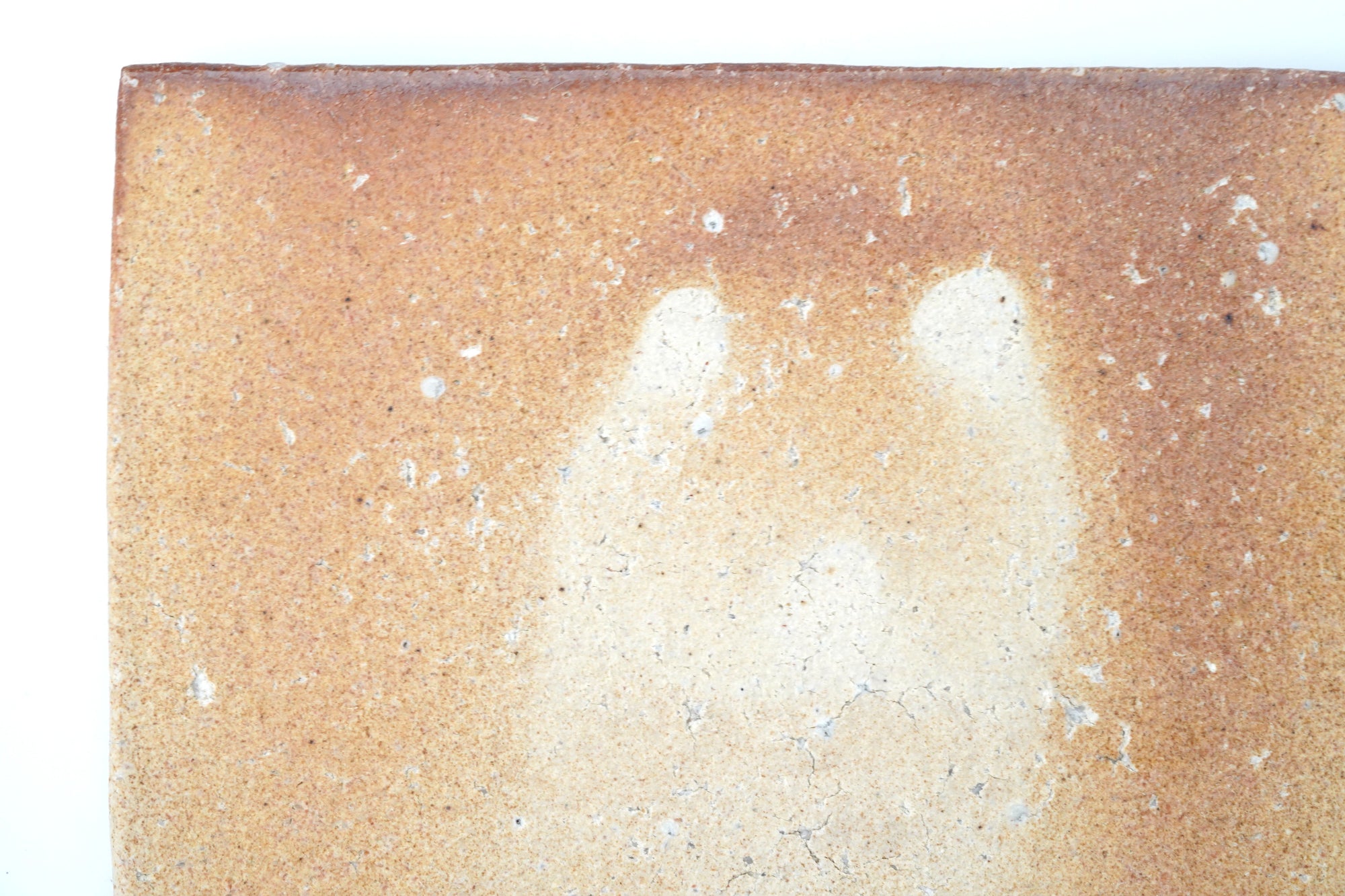 【澤克典】信楽長方皿　23×15ｃｍ