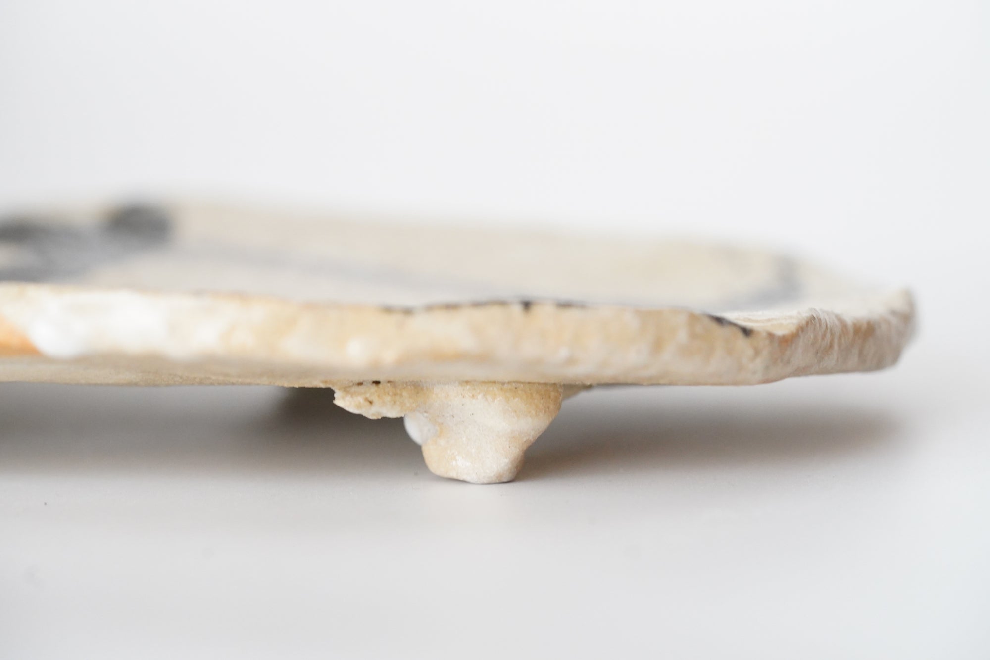 【西岡悠】井の中の蛙銘々皿