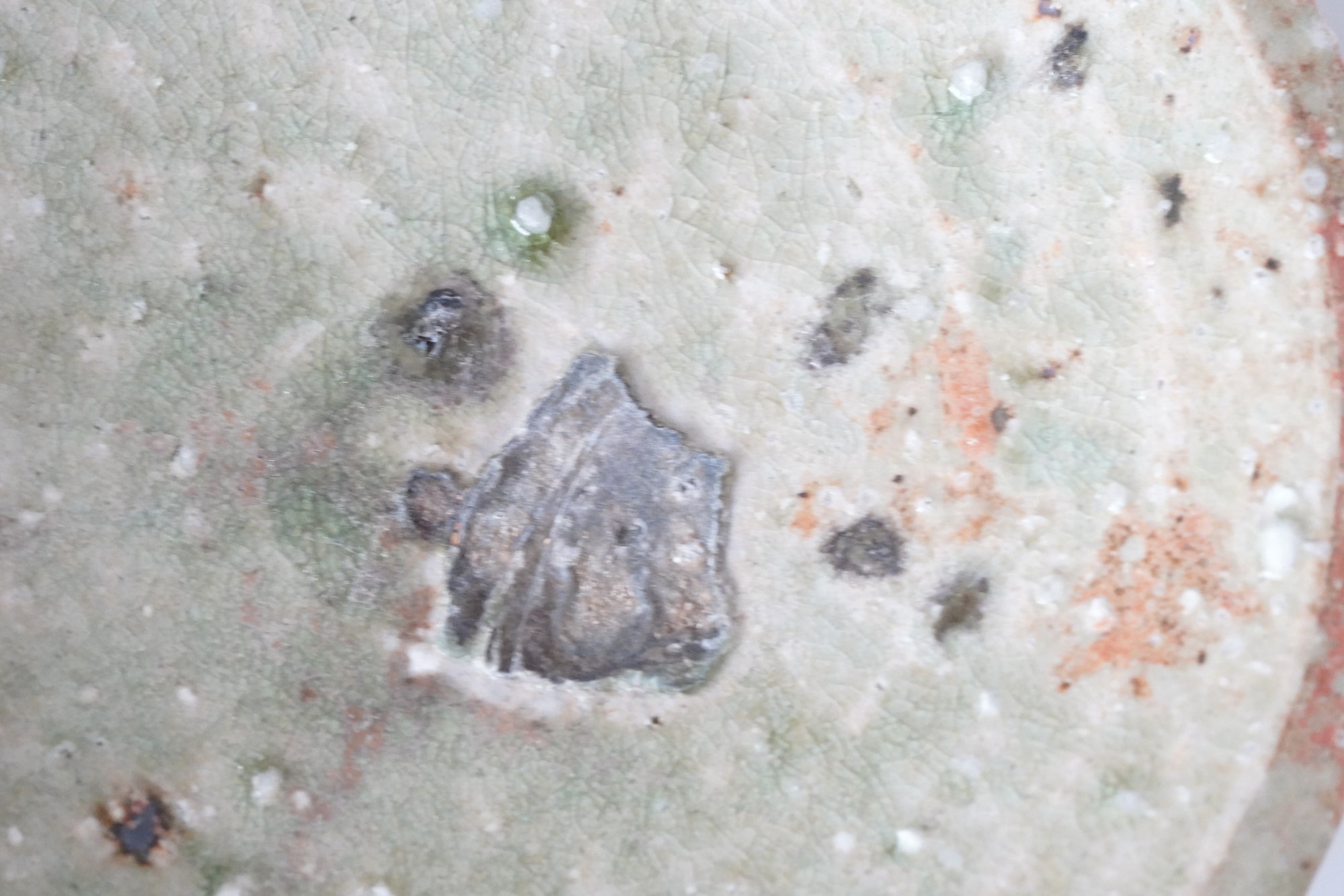 【辻村 塊】伊賀丸皿