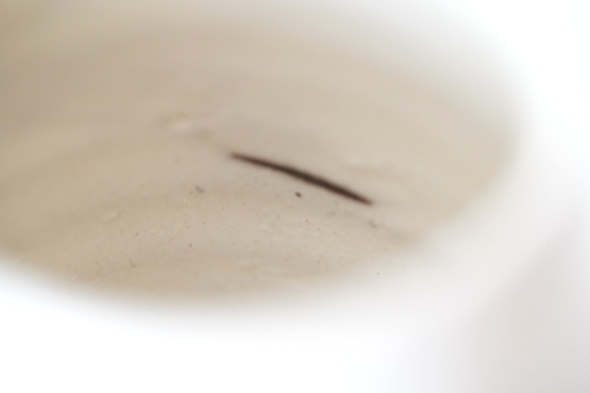 【Kai Tsujimura】Kohiki tea cup