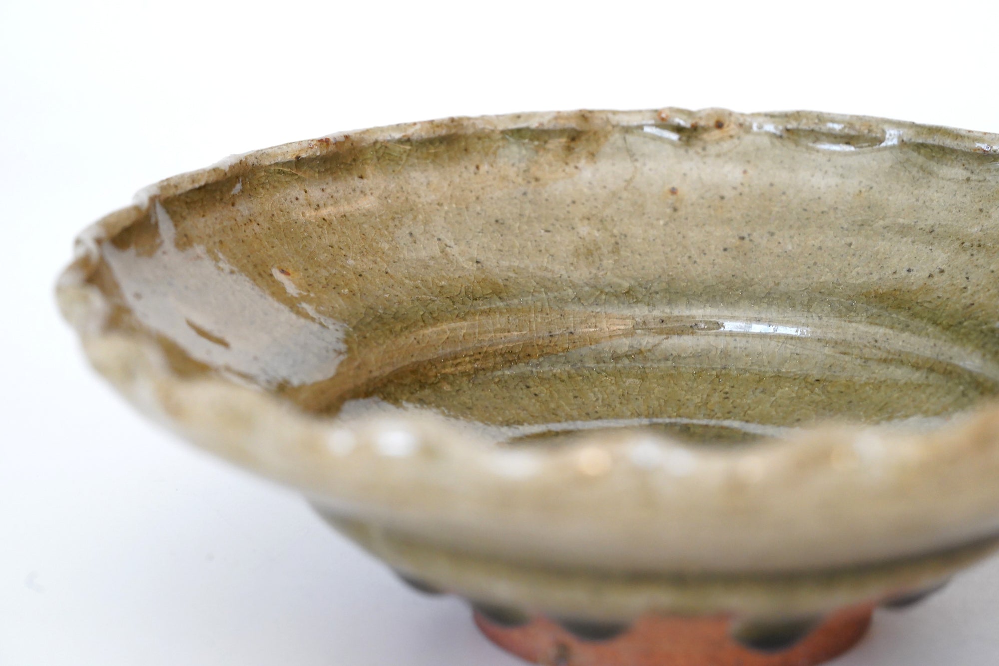 【戸川雅尊】青唐津輪花皿