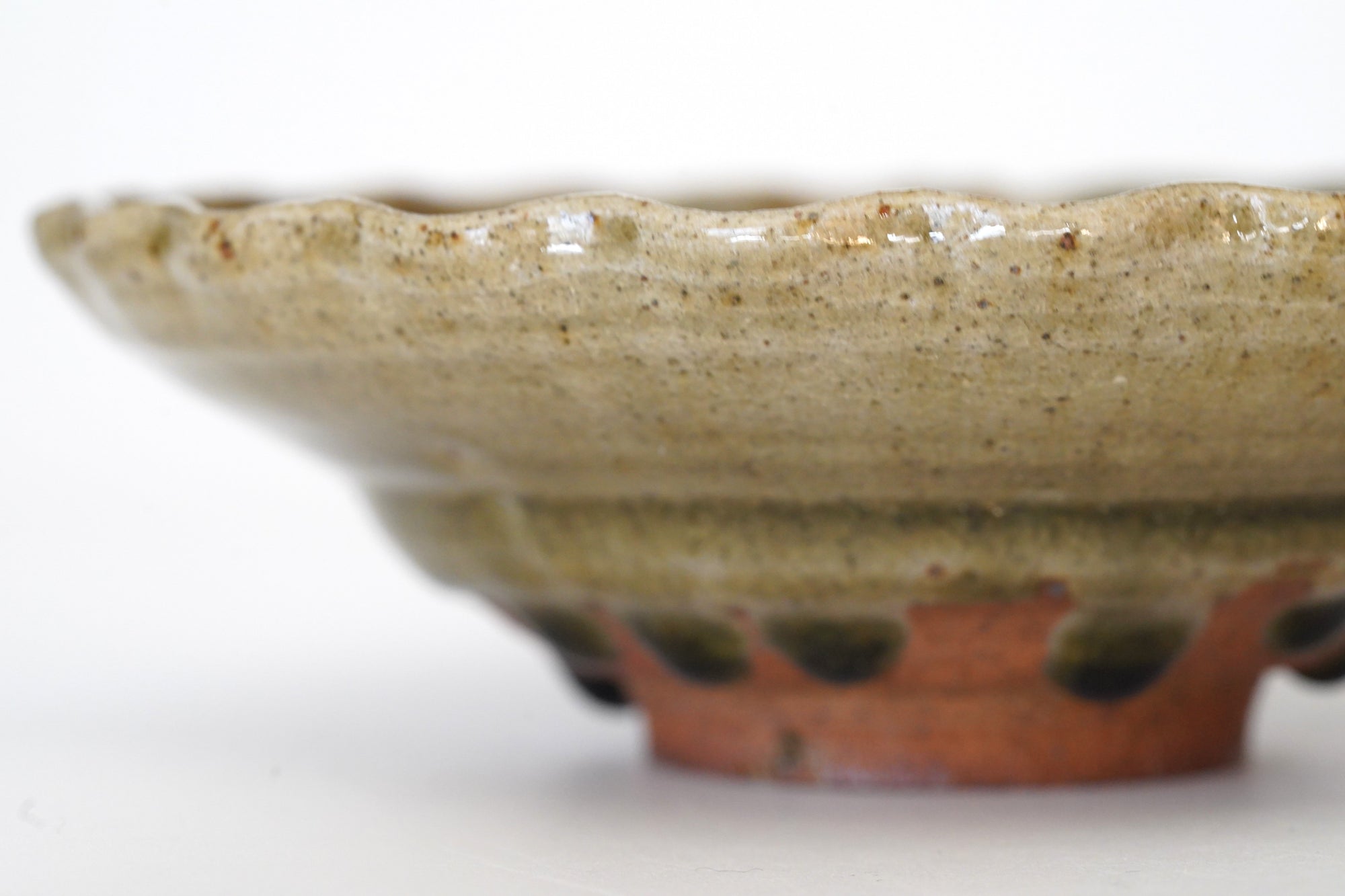 【戸川雅尊】青唐津輪花皿