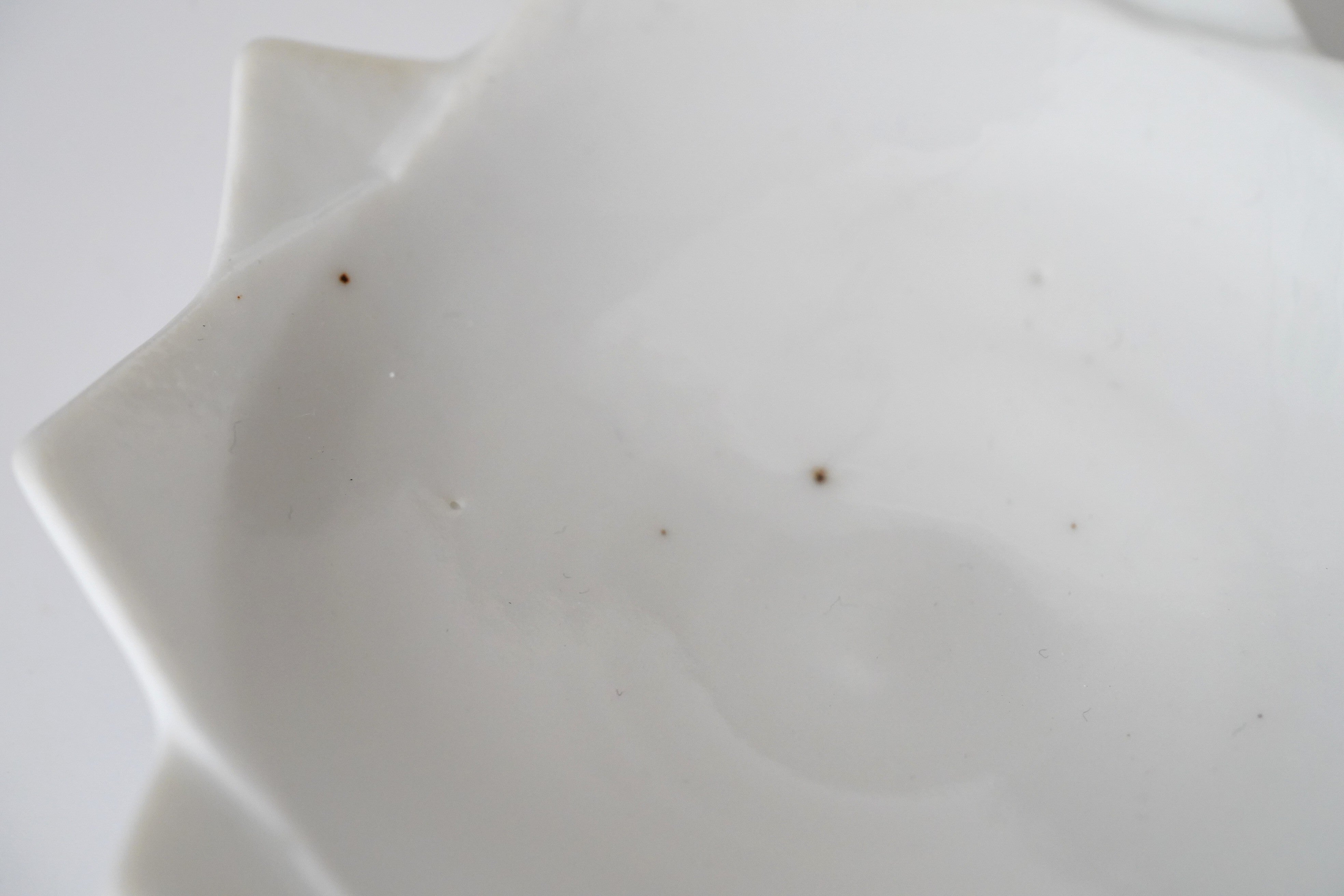 定窯白磁皿 白磁刻花蓮華文鉢 | 定窯 | 収蔵品詳細 | 作品を知る | 東京富士