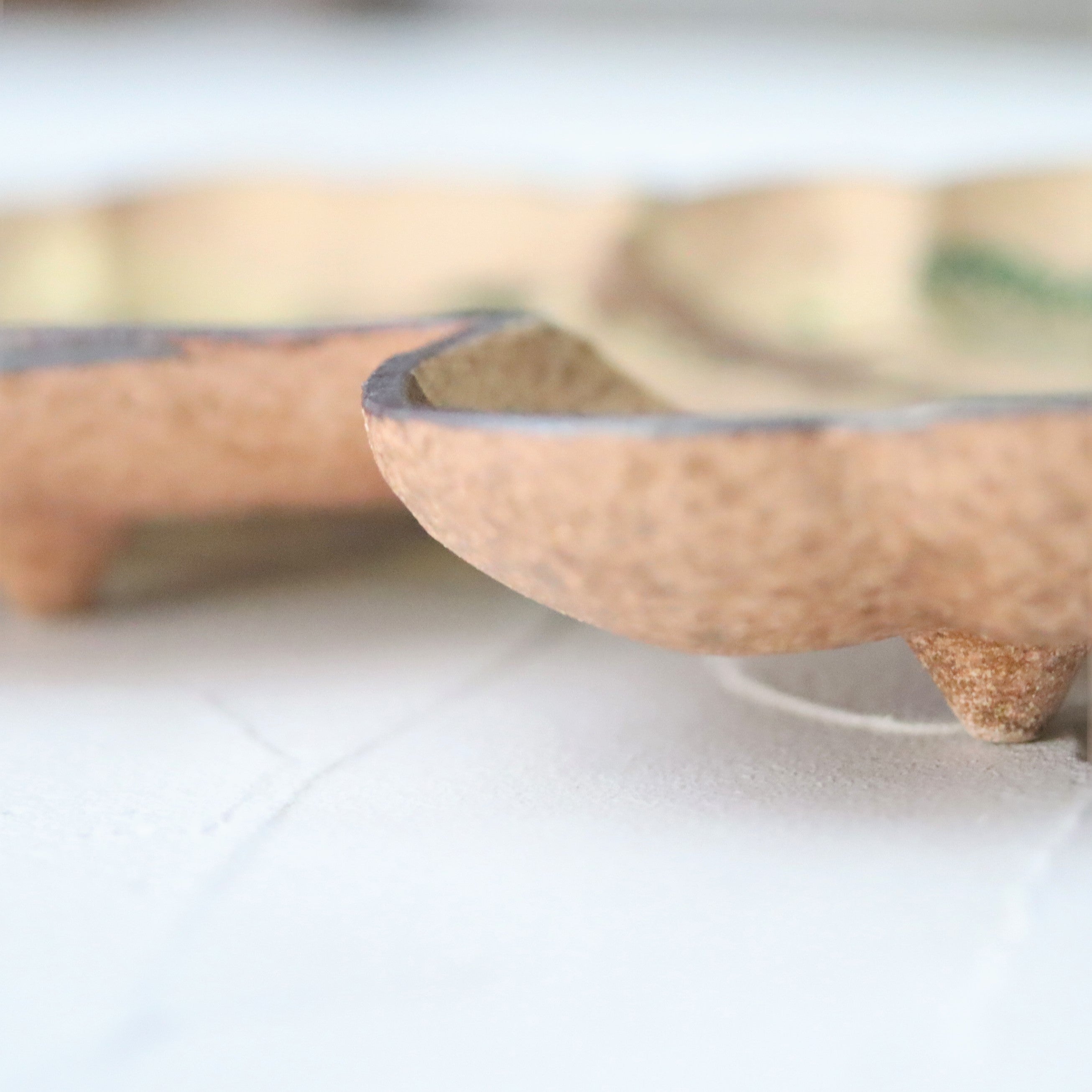 乾山写平向 松 – うつわ御結