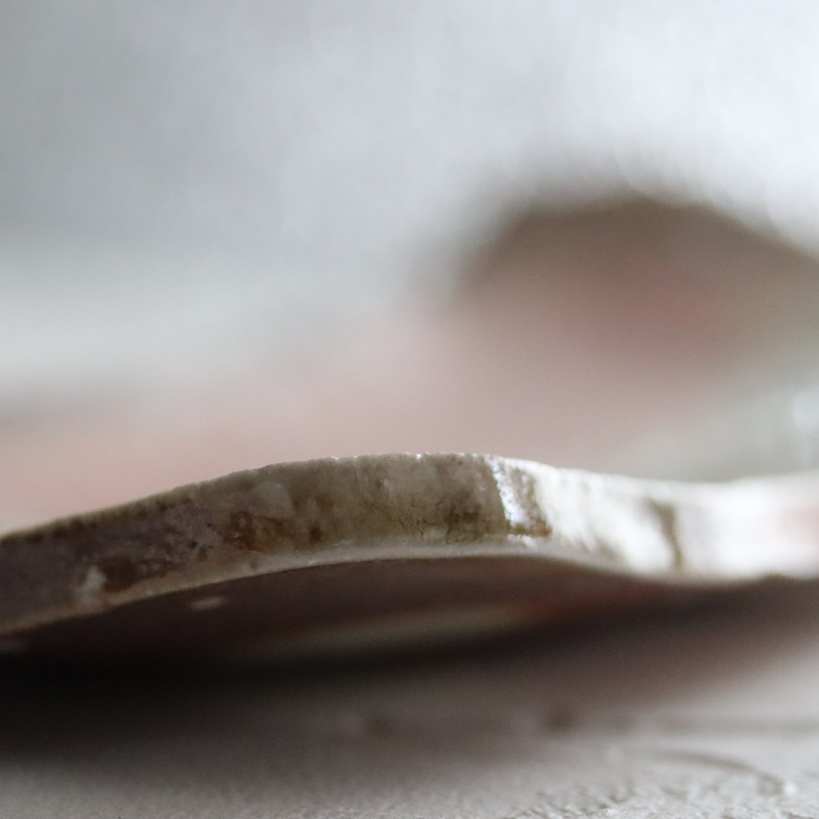 水垣力】信楽長方皿 – うつわ御結