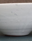 【Etsuji Noguchi】white glazed 7sun bowl