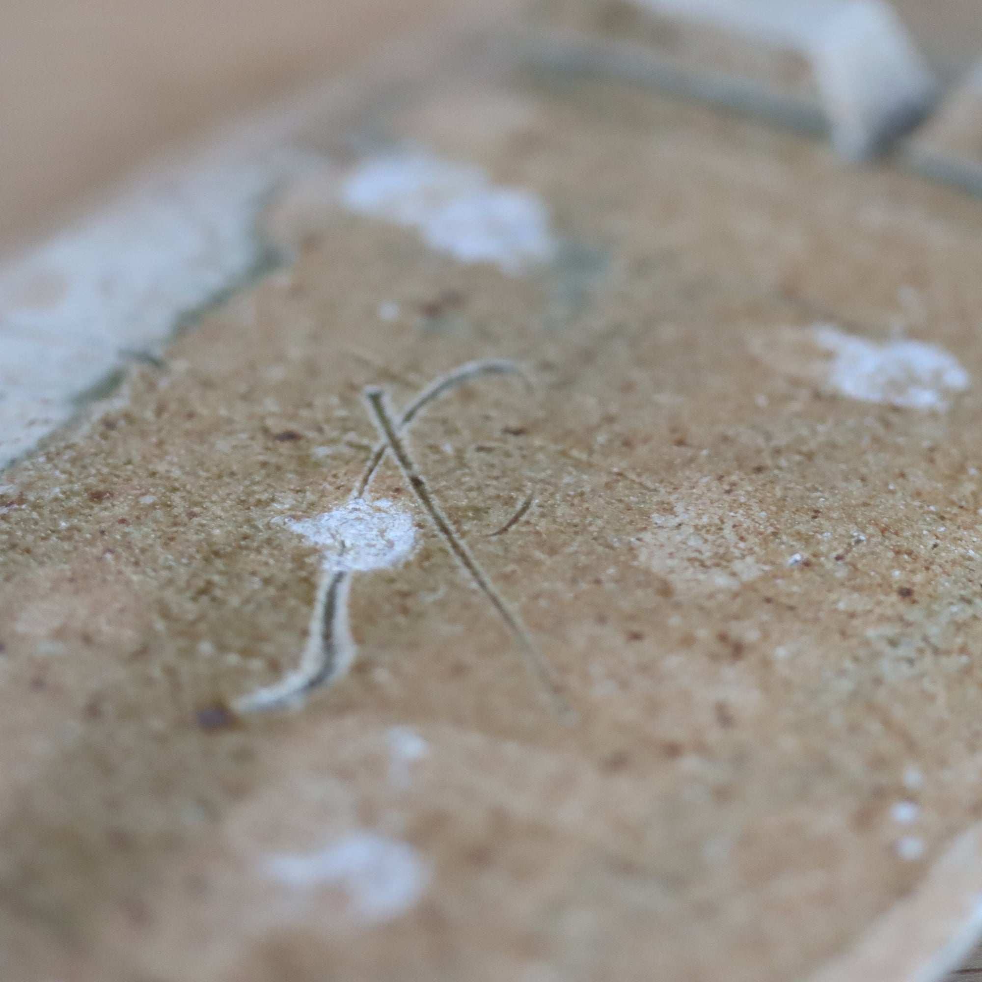 【Shuichi Okamoto】Korean-Garatsu double-plate tray