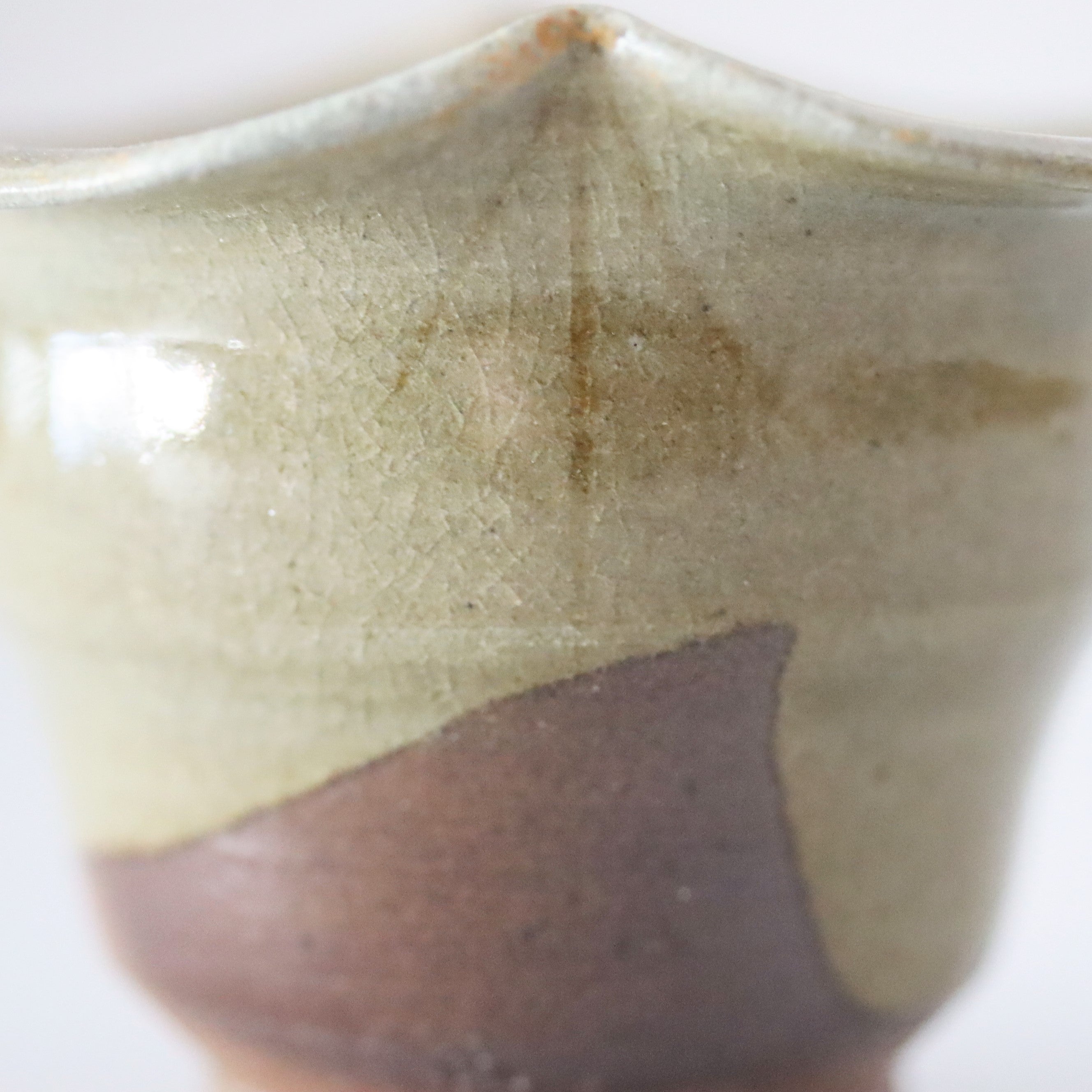 中川自然坊　個展作品　絵唐津　柿ノ花向付　5客組 中川自然坊 個展作品 絵唐津 柿ノ花向付 5客組 - メルカリ